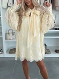 GETADME Fashion Lantern Sleeve Loose Dress New Sexy Perspective Lace Embroidered Chiffon Women Dress 2025 Spring Bow Tie Up Party Dress