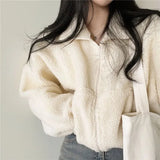 Getadme-Cropped Fleece Jacket Y2k Lambs Wool Oversized Jackets Thicken Coats Korean Streetwear Women's Moto Biker Zipper Jacket