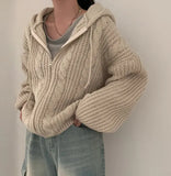 Gilet cardigan vintage décontracté en maille pour femme, style coréen, streetwear, fermeture éclair, couleur unie, basique, capuche, coupe ample, collection 2024