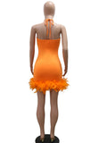 GETADME Beyprern Beautiful Mesh Sequin Feather Glam Dress Luxury Woman Party Dress Glitter Sleeveless Night Out Dresses Birthday Outfits