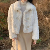 한국 패치워크 양모 아우터 여성 가을 ​​겨울 부드러운 바람 뿔 버클 인조 모피 재킷 여성 플러시 루즈 탑