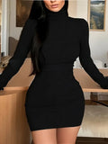 유럽과 미국 최신 봄 가을 터틀넥 롱 슬리브 타이트 백 힙 기질 원피스
